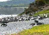 Foto: Tierra del Fuego. Gateway to the Icy Continent